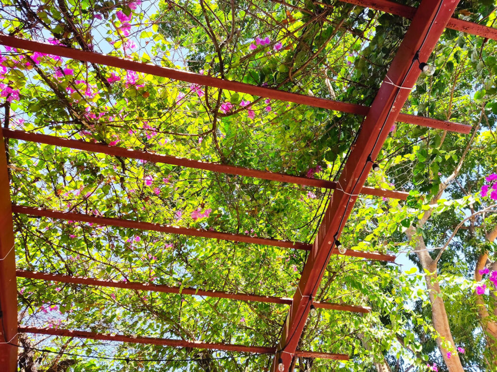 pergola attached to house