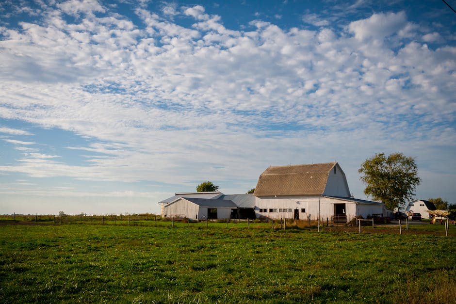The Ultimate Guide to Pole Barns in Ohio